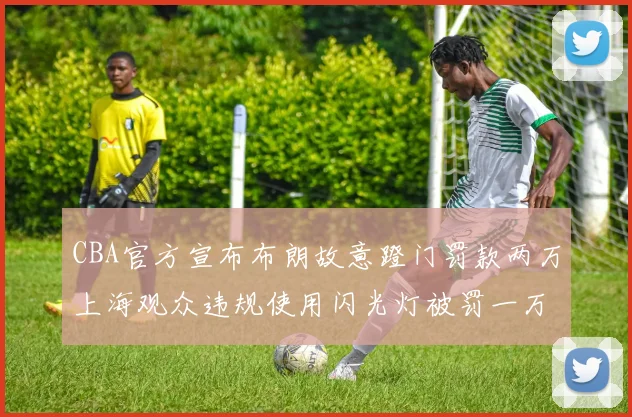 CBA官方宣布布朗故意蹬门罚款两万上海观众违规使用闪光灯被罚一万